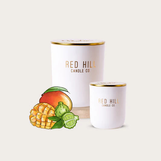 Large Soy Wax Candle Classic Collection
