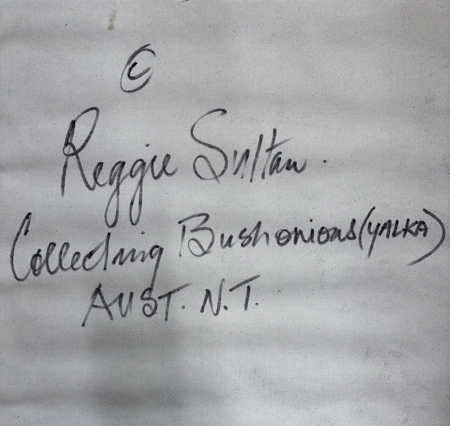 'Collecting Bush Yalka’ - Reggie Sultan