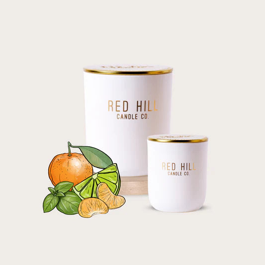 Large Soy Wax Candle Classic Collection