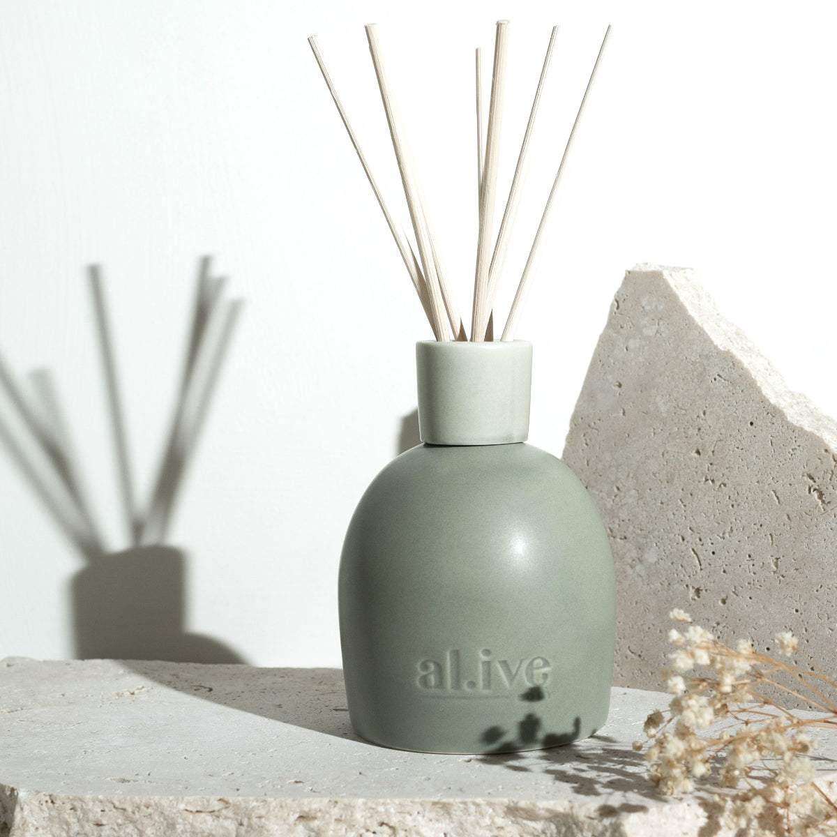 Blackcurrant and Caribbean Wood Diffuser 250ml