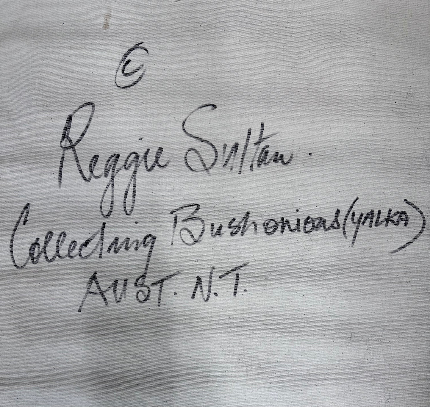'Collecting Bush Yalka’ - Reggie Sultan