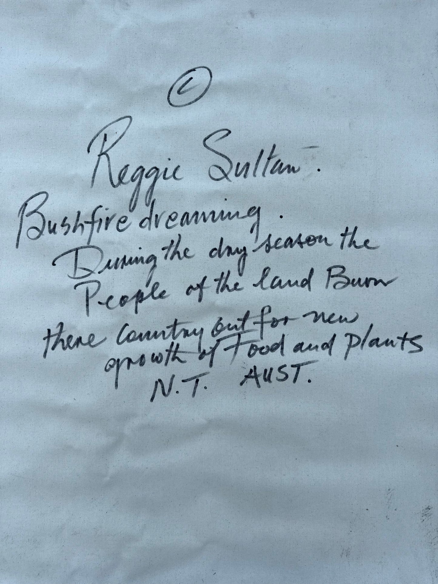 ‘BushFire Dreaming’ - Reggie Sultan (portrait)