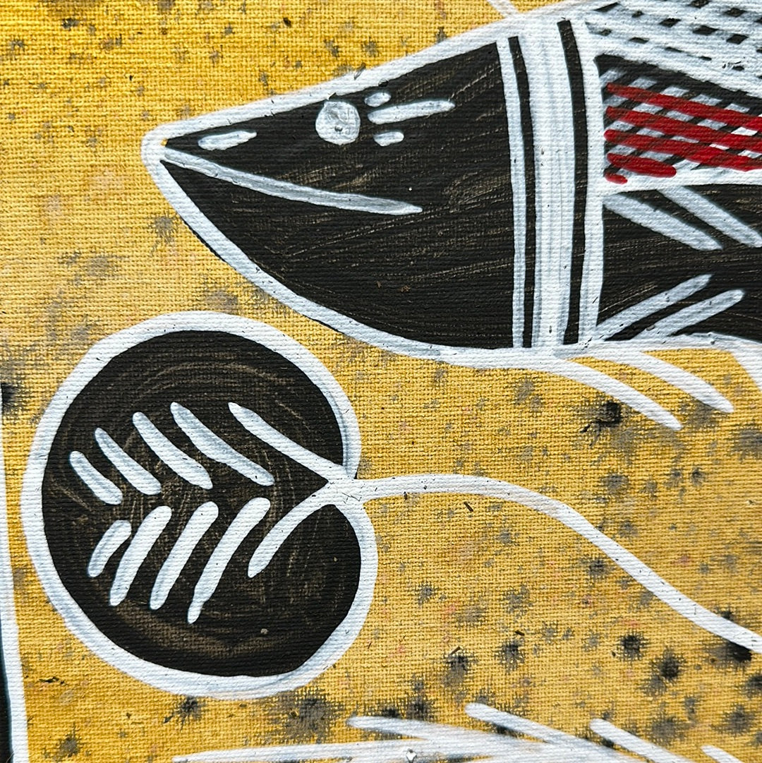 ‘Freshwater Barramundi’ - Belinda Nadjamerrek