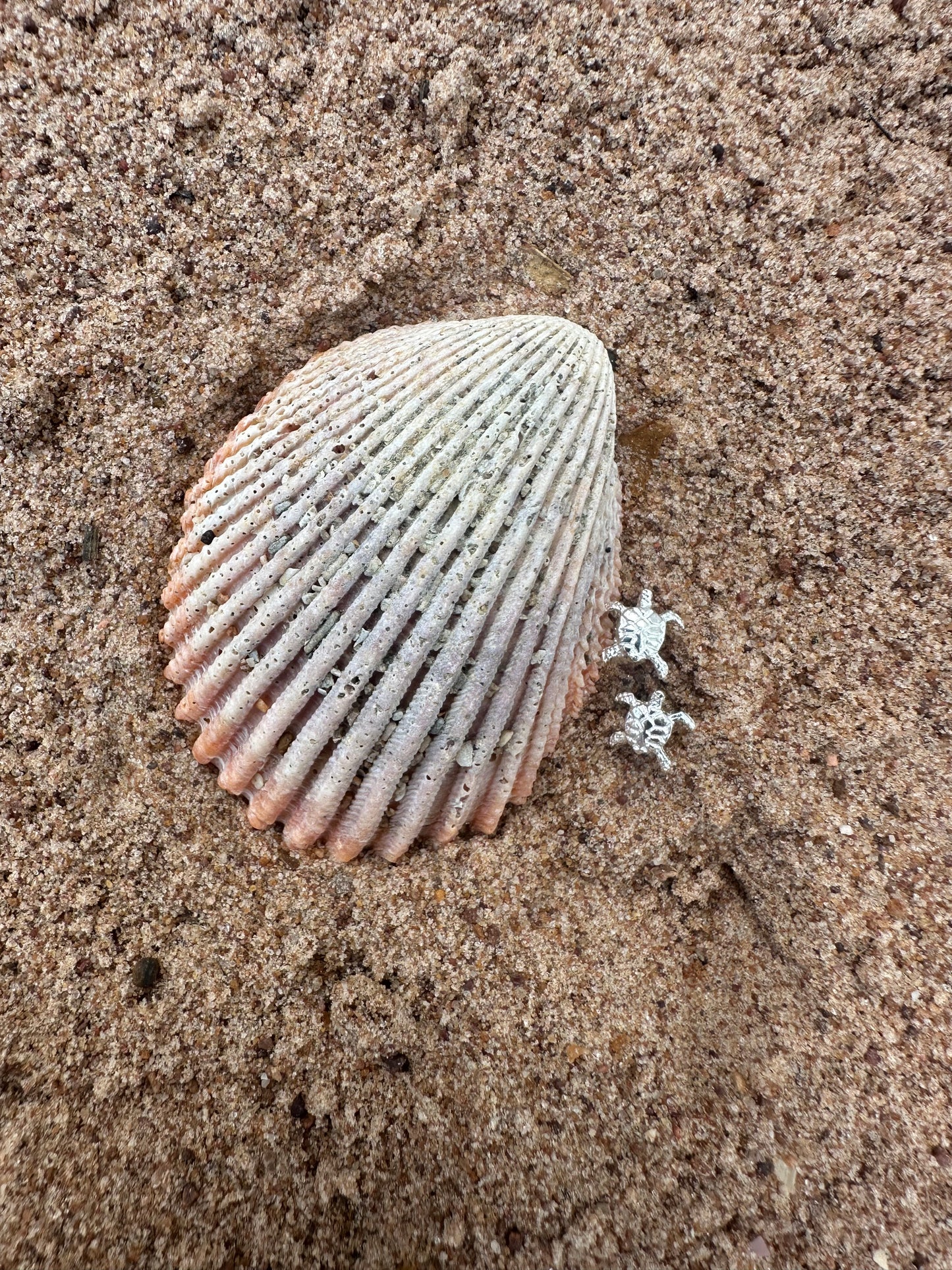 Ocean Turtle Stud Earrings