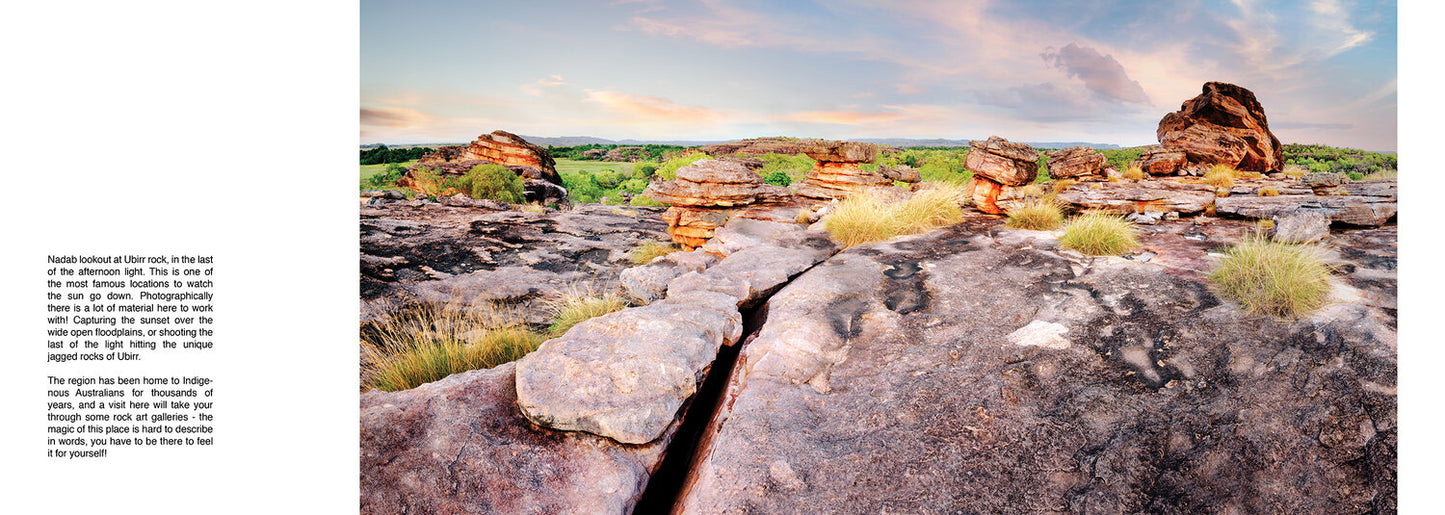 The Wonder of Natures Way - Louise Denton