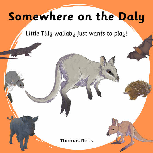 ‘Somewhere on the Daly’ - Little Tilly wallaby just wants to play! - Thomas Rees