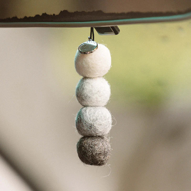 Smelly Balls Reusable Air Freshener Kit