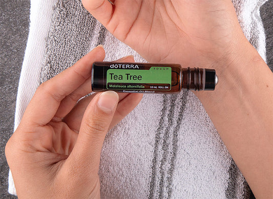 DoTerra Tea Tree Touch Oil Blend 10ml