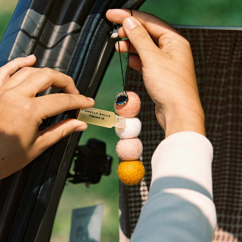 Smelly Balls Reusable Air Freshener Kit