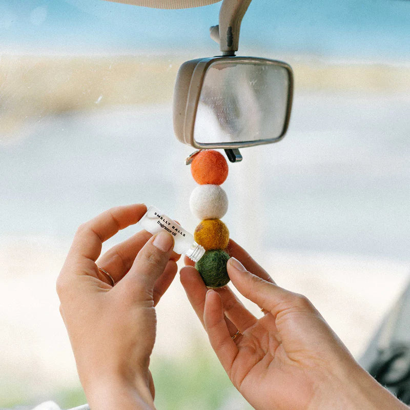 Smelly Balls Reusable Air Freshener Kit