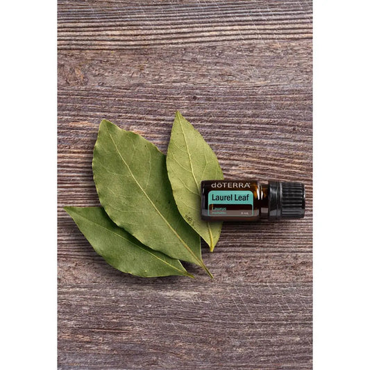 DoTerra Laurel Leaf Essential Oil 5ml