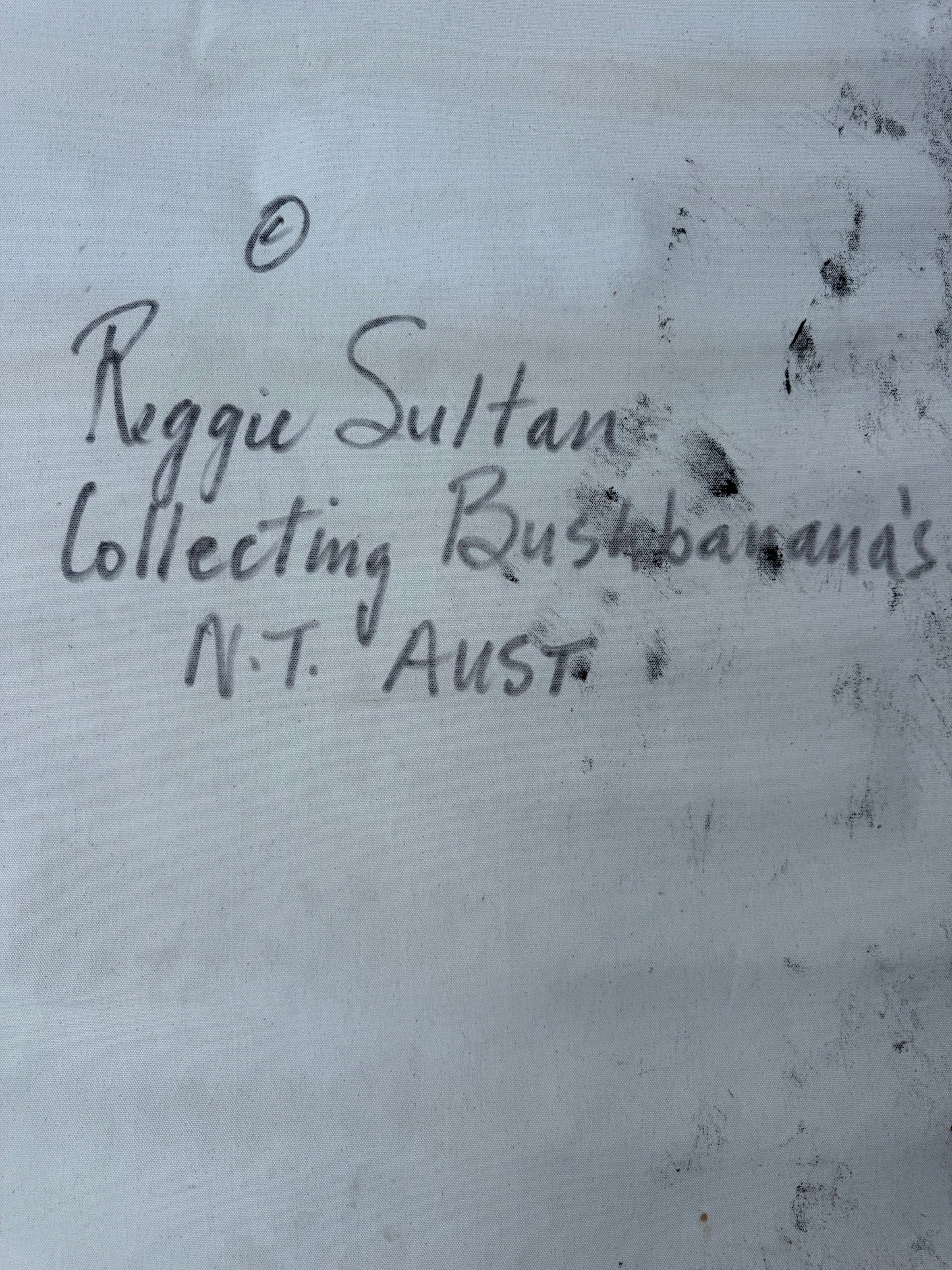 ‘Collecting Bush Banana's’ - Reggie Sultan