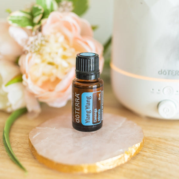 image_37f9e2b1-056f-4730-ad6f-