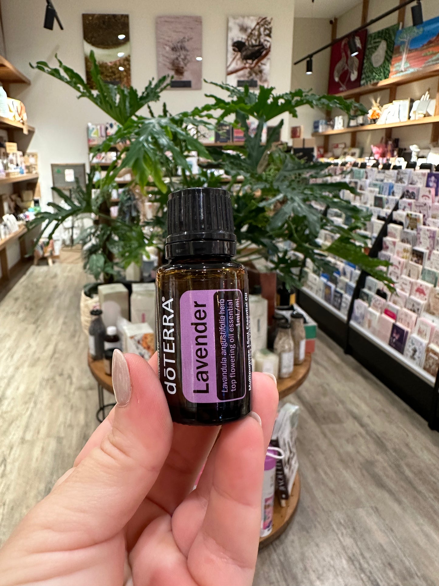 DoTerra Lavender Essential Oil 15ml