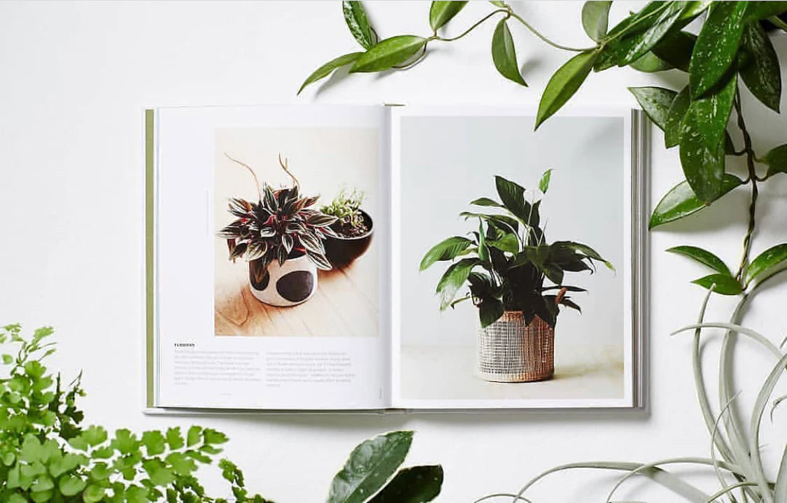 Plant Style - Alana Langan & Jacqui Vidal