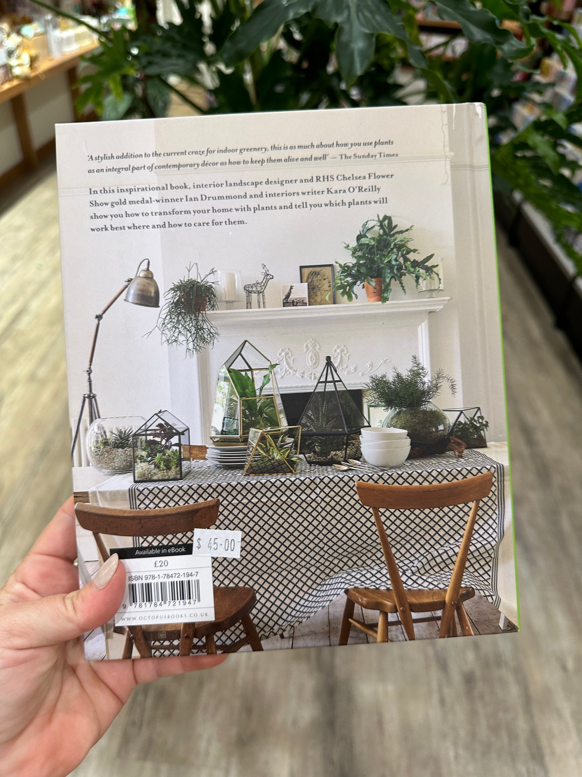 best book for indoor plant care At Home With Plants