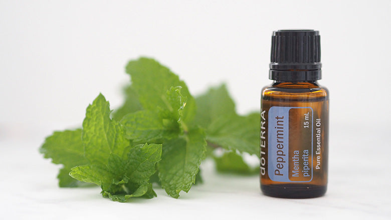 DoTerra Peppermint Essential Oil 15ml